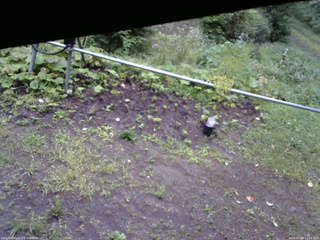 長野県菅平高原 ゆたか山荘 駐車場 2026/08/29 17:30