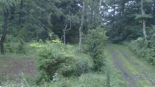 長野県菅平高原 ゆたか山荘 坂上 2026/08/29 05:30