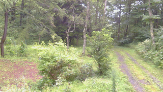 長野県菅平高原 ゆたか山荘 坂上 2026/08/29 05:45