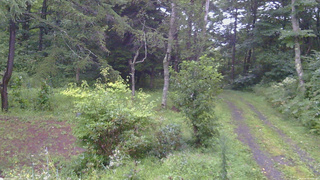 長野県菅平高原 ゆたか山荘 坂上 2026/08/29 06:00