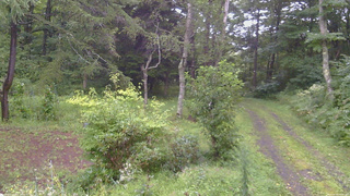 長野県菅平高原 ゆたか山荘 坂上 2026/08/29 06:45