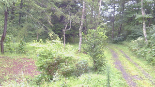 長野県菅平高原 ゆたか山荘 坂上 2026/08/29 07:00