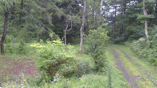 長野県菅平高原 ゆたか山荘 坂上 2026/08/29 07:15