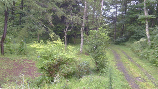 長野県菅平高原 ゆたか山荘 坂上 2026/08/29 07:45