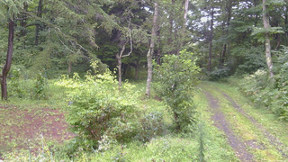 長野県菅平高原 ゆたか山荘 坂上 2026/08/29 08:00