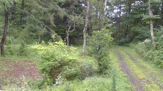 長野県菅平高原 ゆたか山荘 坂上 2026/08/29 08:30