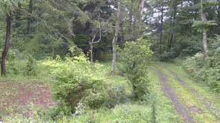長野県菅平高原 ゆたか山荘 坂上 2026/08/29 08:45
