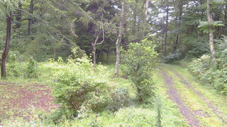 長野県菅平高原 ゆたか山荘 坂上 2026/08/29 09:45