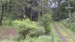 長野県菅平高原 ゆたか山荘 坂上 2026/08/29 10:00