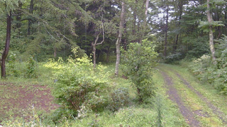 長野県菅平高原 ゆたか山荘 坂上 2026/08/29 10:15
