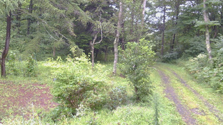 長野県菅平高原 ゆたか山荘 坂上 2026/08/29 10:30