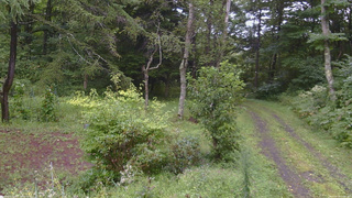 長野県菅平高原 ゆたか山荘 坂上 2026/08/29 11:00