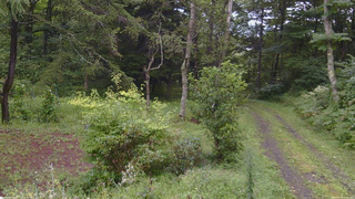 長野県菅平高原 ゆたか山荘 坂上 2026/08/29 11:30