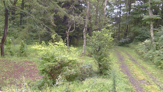 長野県菅平高原 ゆたか山荘 坂上 2026/08/29 11:45