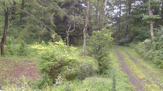 長野県菅平高原 ゆたか山荘 坂上 2026/08/29 12:00
