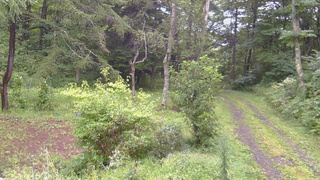 長野県菅平高原 ゆたか山荘 坂上 2026/08/29 12:15