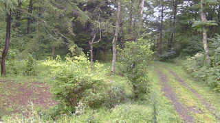 長野県菅平高原 ゆたか山荘 坂上 2026/08/29 12:30