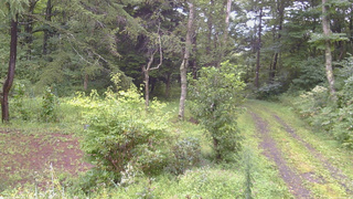 長野県菅平高原 ゆたか山荘 坂上 2026/08/29 12:45