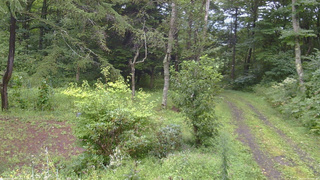 長野県菅平高原 ゆたか山荘 坂上 2026/08/29 13:00