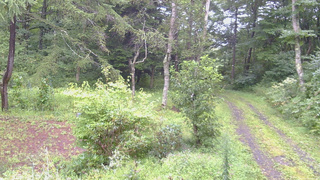 長野県菅平高原 ゆたか山荘 坂上 2026/08/29 13:15