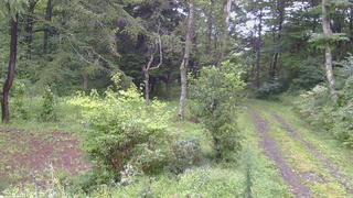 長野県菅平高原 ゆたか山荘 坂上 2026/08/29 13:30