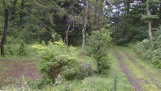 長野県菅平高原 ゆたか山荘 坂上 2026/08/29 13:45