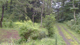 長野県菅平高原 ゆたか山荘 坂上 2026/08/29 14:15