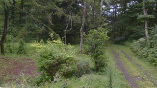 長野県菅平高原 ゆたか山荘 坂上 2026/08/29 14:45