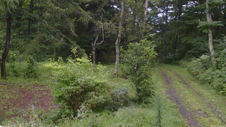 長野県菅平高原 ゆたか山荘 坂上 2026/08/29 15:00
