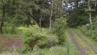 長野県菅平高原 ゆたか山荘 坂上 2026/08/29 15:15
