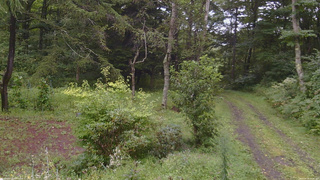 長野県菅平高原 ゆたか山荘 坂上 2026/08/29 15:30