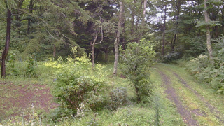 長野県菅平高原 ゆたか山荘 坂上 2026/08/29 15:45
