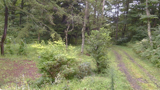 長野県菅平高原 ゆたか山荘 坂上 2026/08/29 16:00