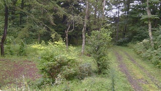 長野県菅平高原 ゆたか山荘 坂上 2026/08/29 16:15