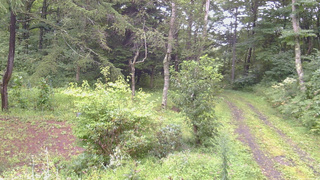 長野県菅平高原 ゆたか山荘 坂上 2026/08/29 16:30