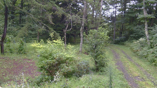 長野県菅平高原 ゆたか山荘 坂上 2026/08/29 16:45