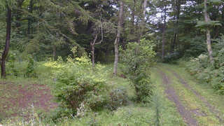 長野県菅平高原 ゆたか山荘 坂上 2026/08/29 17:00
