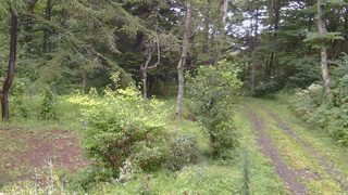 長野県菅平高原 ゆたか山荘 坂上 2026/08/29 17:15