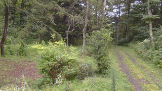 長野県菅平高原 ゆたか山荘 坂上 2026/08/29 17:30