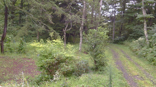 長野県菅平高原 ゆたか山荘 坂上 2026/08/29 17:45