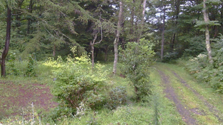 長野県菅平高原 ゆたか山荘 坂上 2026/08/29 18:00