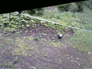 長野県菅平高原 ゆたか山荘 駐車場 2026/08/30 10:00