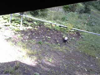 長野県菅平高原 ゆたか山荘 駐車場 2026/08/30 14:15