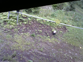 長野県菅平高原 ゆたか山荘 駐車場 2026/08/30 15:15