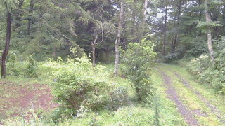 長野県菅平高原 ゆたか山荘 坂上 2026/08/30 05:45