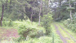 長野県菅平高原 ゆたか山荘 坂上 2026/08/30 06:00
