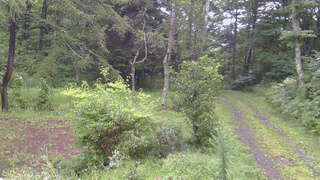 長野県菅平高原 ゆたか山荘 坂上 2026/08/30 06:30