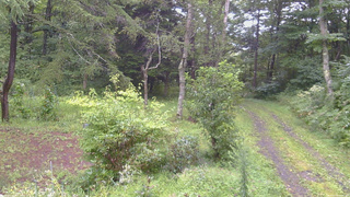 長野県菅平高原 ゆたか山荘 坂上 2026/08/30 06:45