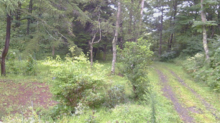長野県菅平高原 ゆたか山荘 坂上 2026/08/30 07:00