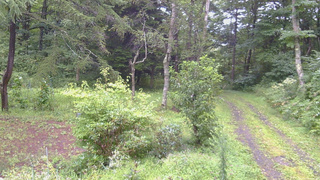 長野県菅平高原 ゆたか山荘 坂上 2026/08/30 07:30